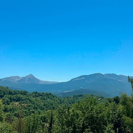 La Escuela De * Lirí